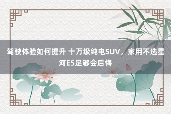 驾驶体验如何提升 十万级纯电SUV，家用不选星河E5足够会后悔