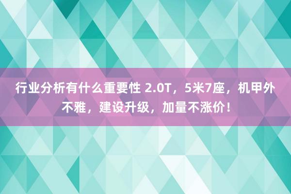 行业分析有什么重要性 2.0T，5米7座，机甲外不雅，建设升级，加量不涨价！