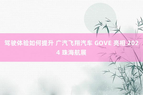 驾驶体验如何提升 广汽飞翔汽车 GOVE 亮相 2024 珠海航展