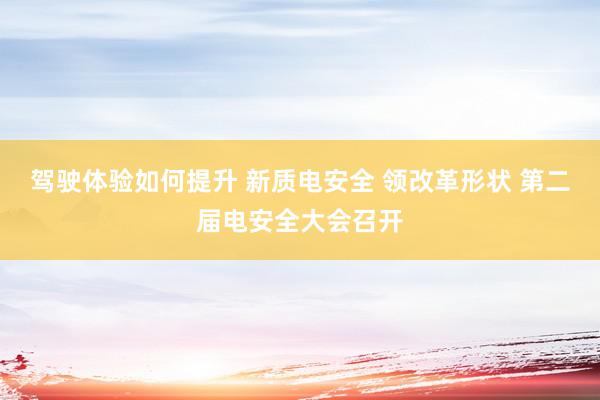 驾驶体验如何提升 新质电安全 领改革形状 第二届电安全大会召开