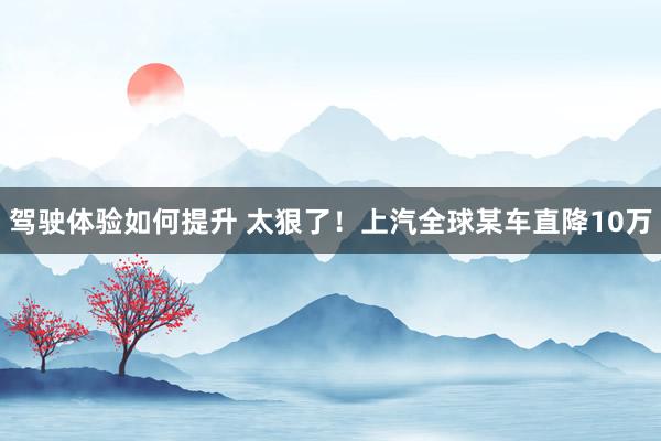 驾驶体验如何提升 太狠了！上汽全球某车直降10万