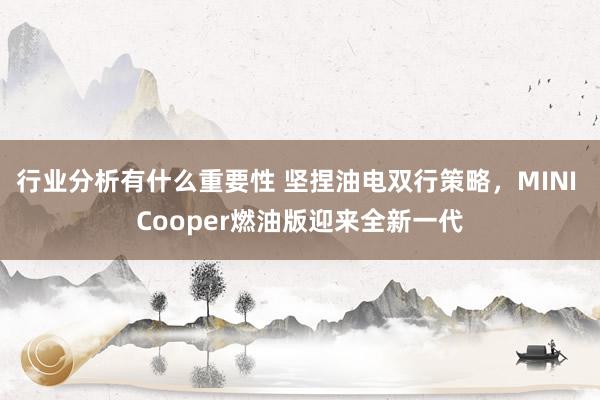 行业分析有什么重要性 坚捏油电双行策略，MINI Cooper燃油版迎来全新一代