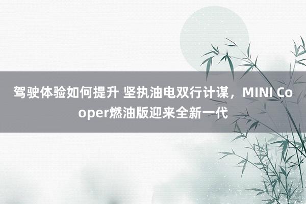 驾驶体验如何提升 坚执油电双行计谋，MINI Cooper燃油版迎来全新一代