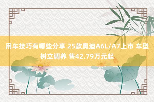 用车技巧有哪些分享 25款奥迪A6L/A7上市 车型树立调养 售42.79万元起