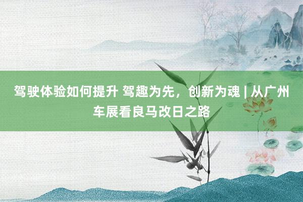 驾驶体验如何提升 驾趣为先，创新为魂 | 从广州车展看良马改日之路