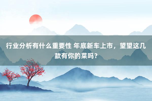 行业分析有什么重要性 年底新车上市，望望这几款有你的菜吗？