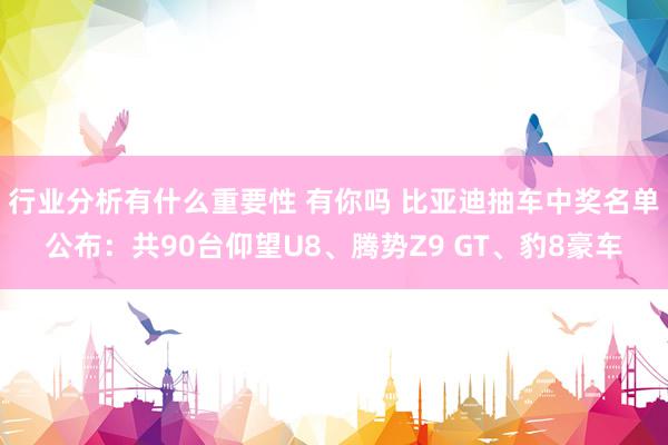 行业分析有什么重要性 有你吗 比亚迪抽车中奖名单公布：共90台仰望U8、腾势Z9 GT、豹8豪车