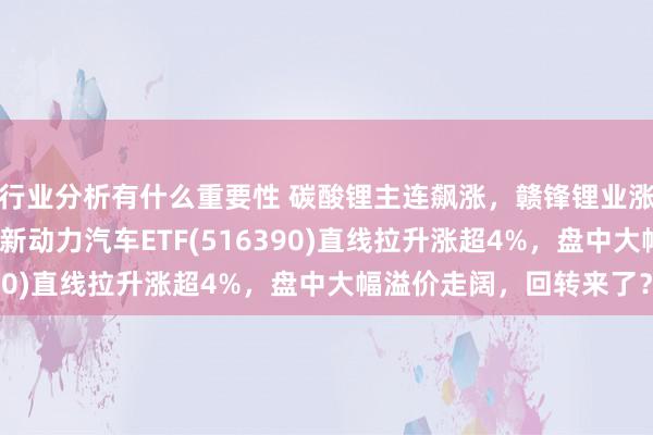 行业分析有什么重要性 碳酸锂主连飙涨，赣锋锂业涨停、宁德时间涨3%，新动力汽车ETF(516390)直线拉升涨超4%，盘中大幅溢价走阔，回转来了？