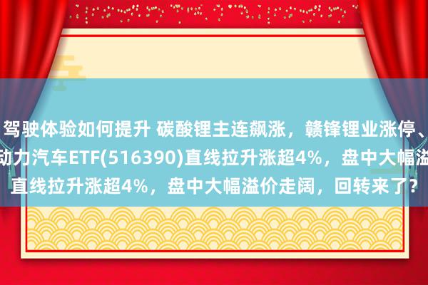 驾驶体验如何提升 碳酸锂主连飙涨，赣锋锂业涨停、宁德时间涨3%，新动力汽车ETF(516390)直线拉升涨超4%，盘中大幅溢价走阔，回转来了？