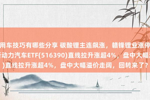 用车技巧有哪些分享 碳酸锂主连飙涨，赣锋锂业涨停、宁德时期涨3%，新动力汽车ETF(516390)直线拉升涨超4%，盘中大幅溢价走阔，回转来了？