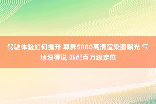 驾驶体验如何提升 尊界S800高清渲染图曝光 气场没得说 匹配百万级定位