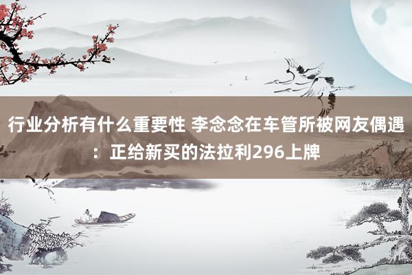 行业分析有什么重要性 李念念在车管所被网友偶遇：正给新买的法拉利296上牌