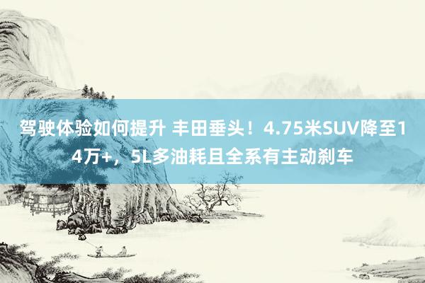 驾驶体验如何提升 丰田垂头！4.75米SUV降至14万+，5L多油耗且全系有主动刹车