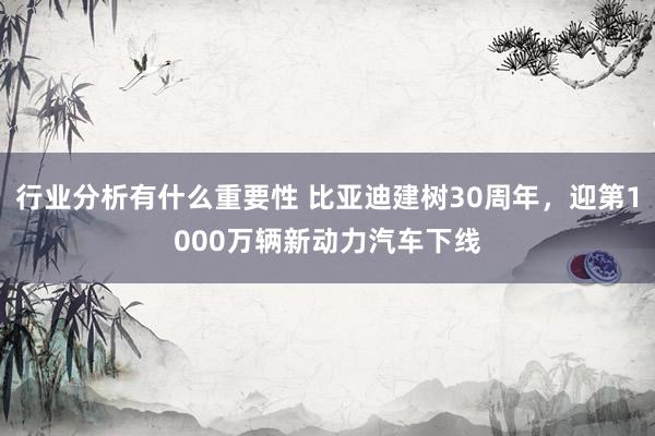 行业分析有什么重要性 比亚迪建树30周年，迎第1000万辆新动力汽车下线