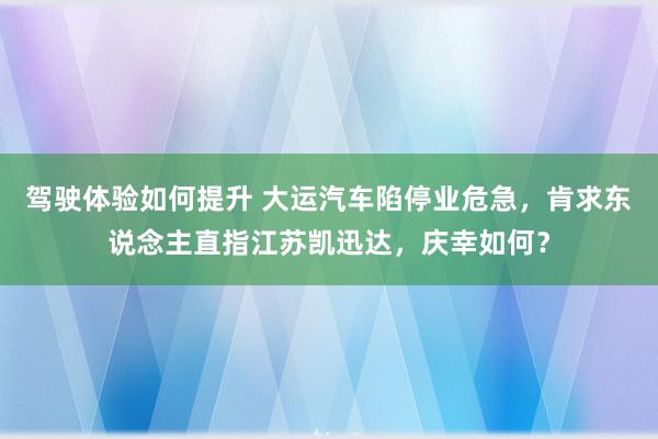 驾驶体验如何提升 大运汽车陷停业危急，肯求东说念主直指江苏凯迅达，庆幸如何？