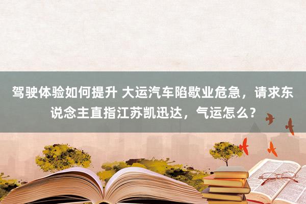 驾驶体验如何提升 大运汽车陷歇业危急，请求东说念主直指江苏凯迅达，气运怎么？