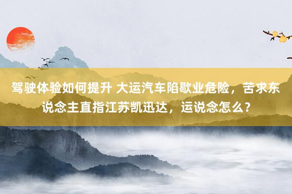 驾驶体验如何提升 大运汽车陷歇业危险，苦求东说念主直指江苏凯迅达，运说念怎么？