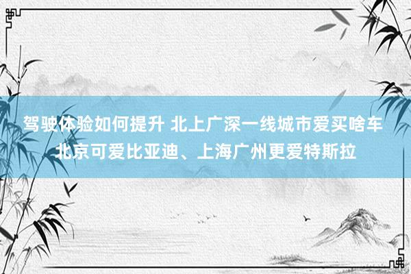 驾驶体验如何提升 北上广深一线城市爱买啥车 北京可爱比亚迪、上海广州更爱特斯拉