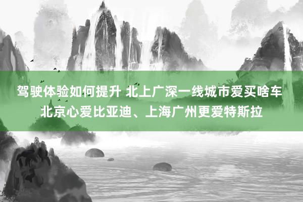 驾驶体验如何提升 北上广深一线城市爱买啥车 北京心爱比亚迪、上海广州更爱特斯拉