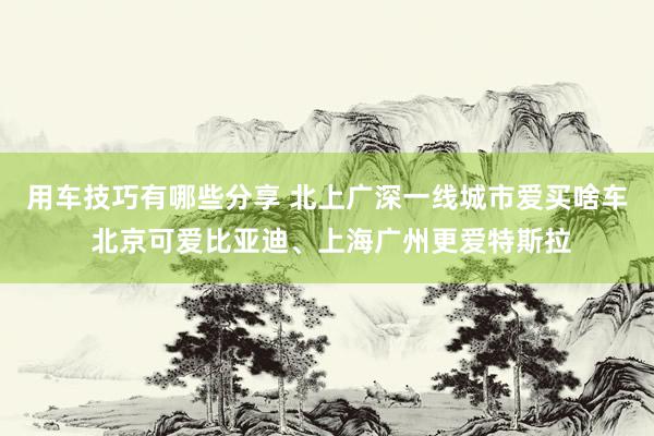 用车技巧有哪些分享 北上广深一线城市爱买啥车 北京可爱比亚迪、上海广州更爱特斯拉