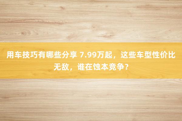 用车技巧有哪些分享 7.99万起，这些车型性价比无敌，谁在蚀本竞争？