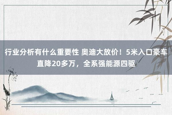 行业分析有什么重要性 奥迪大放价！5米入口豪车直降20多万，全系强能源四驱