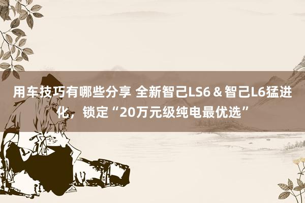 用车技巧有哪些分享 全新智己LS6＆智己L6猛进化，锁定“20万元级纯电最优选”