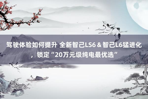 驾驶体验如何提升 全新智己LS6＆智己L6猛进化，锁定“20万元级纯电最优选”