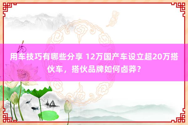 用车技巧有哪些分享 12万国产车设立超20万搭伙车，搭伙品牌如何卤莽？