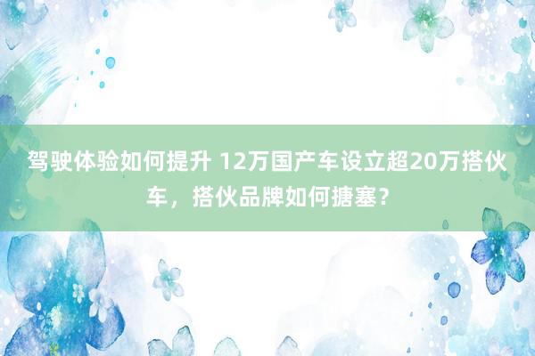 驾驶体验如何提升 12万国产车设立超20万搭伙车，搭伙品牌如何搪塞？