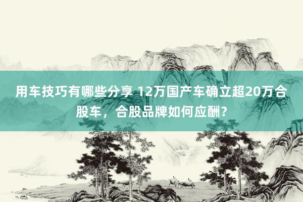 用车技巧有哪些分享 12万国产车确立超20万合股车，合股品牌如何应酬？