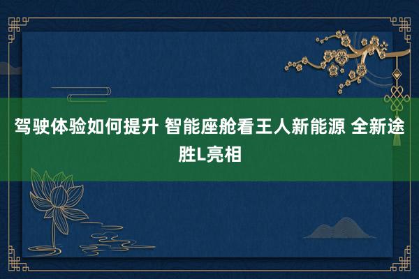 驾驶体验如何提升 智能座舱看王人新能源 全新途胜L亮相