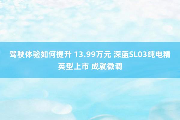 驾驶体验如何提升 13.99万元 深蓝SL03纯电精英型上市 成就微调