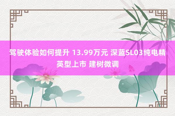 驾驶体验如何提升 13.99万元 深蓝SL03纯电精英型上市 建树微调