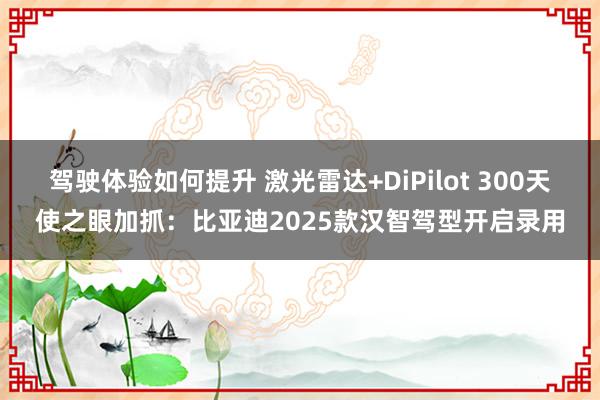 驾驶体验如何提升 激光雷达+DiPilot 300天使之眼加抓：比亚迪2025款汉智驾型开启录用