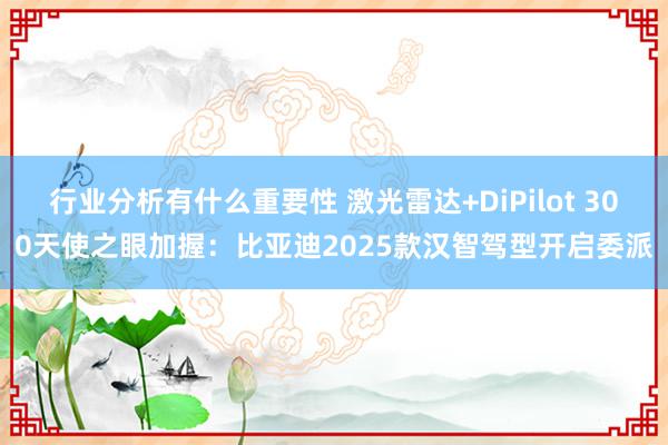 行业分析有什么重要性 激光雷达+DiPilot 300天使之眼加握：比亚迪2025款汉智驾型开启委派