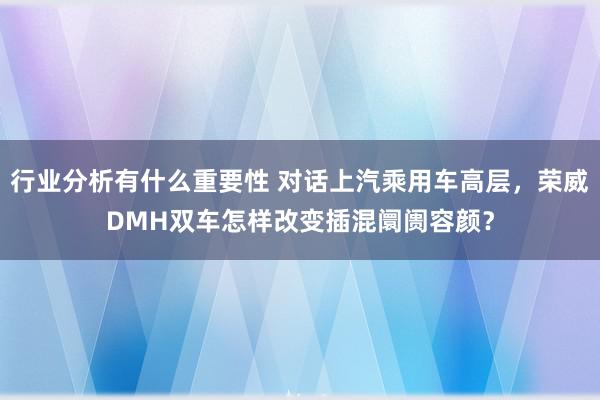 行业分析有什么重要性 对话上汽乘用车高层，荣威DMH双车怎样改变插混阛阓容颜？