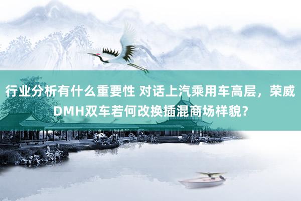 行业分析有什么重要性 对话上汽乘用车高层，荣威DMH双车若何改换插混商场样貌？