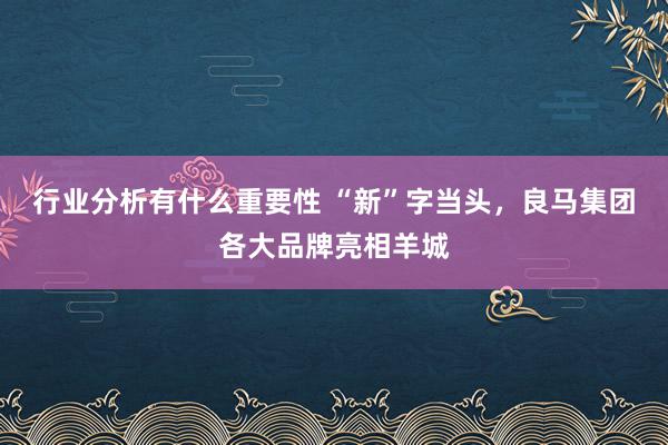 行业分析有什么重要性 “新”字当头，良马集团各大品牌亮相羊城