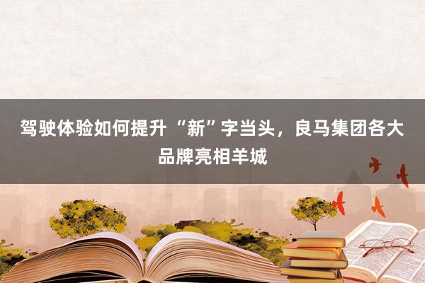 驾驶体验如何提升 “新”字当头，良马集团各大品牌亮相羊城