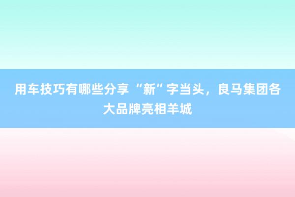 用车技巧有哪些分享 “新”字当头，良马集团各大品牌亮相羊城