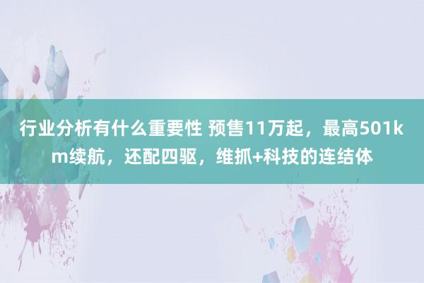 行业分析有什么重要性 预售11万起，最高501km续航，还配四驱，维抓+科技的连结体