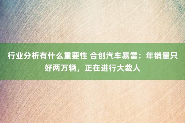 行业分析有什么重要性 合创汽车暴雷：年销量只好两万辆，正在进行大裁人