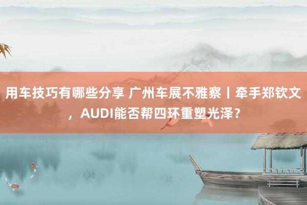 用车技巧有哪些分享 广州车展不雅察丨牵手郑钦文，AUDI能否帮四环重塑光泽？