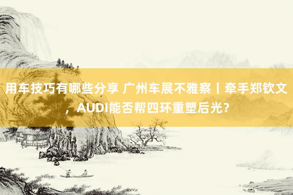 用车技巧有哪些分享 广州车展不雅察丨牵手郑钦文，AUDI能否帮四环重塑后光？