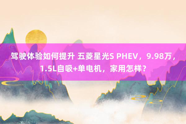 驾驶体验如何提升 五菱星光S PHEV，9.98万，1.5L自吸+单电机，家用怎样？