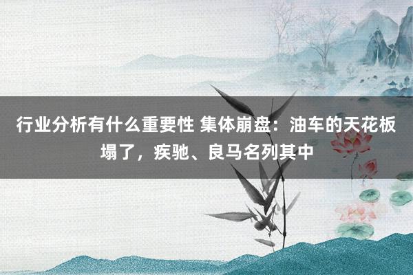 行业分析有什么重要性 集体崩盘：油车的天花板塌了，疾驰、良马名列其中