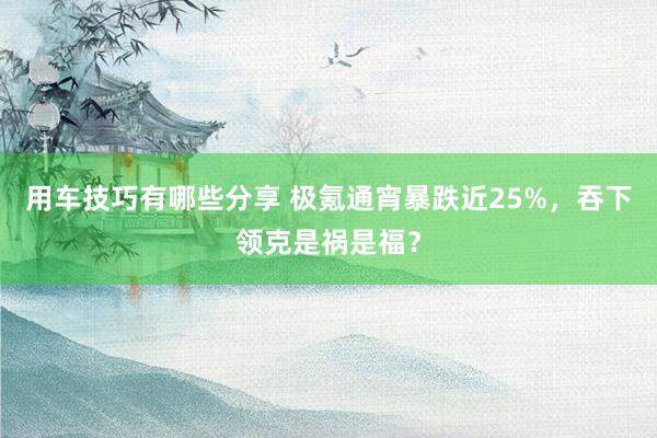 用车技巧有哪些分享 极氪通宵暴跌近25%，吞下领克是祸是福？