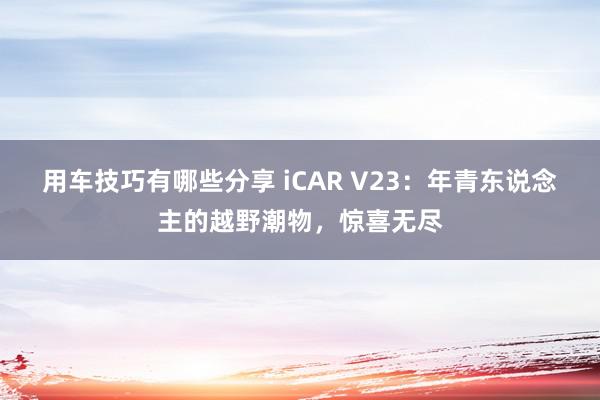 用车技巧有哪些分享 iCAR V23：年青东说念主的越野潮物，惊喜无尽