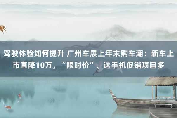 驾驶体验如何提升 广州车展上年末购车潮：新车上市直降10万，“限时价”、送手机促销项目多